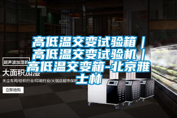 高低温交变试验箱｜高低温交变试验机｜高低温交变箱-北京雅士林
