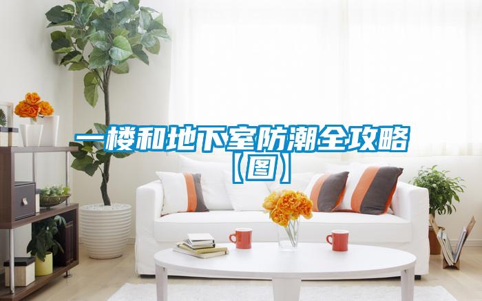 一楼和地下室防潮全攻略【图】