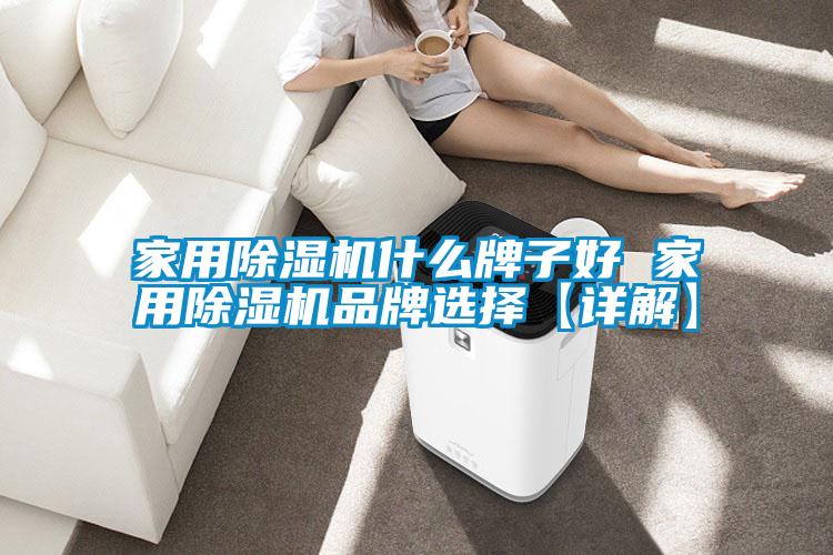 家用除湿机什么牌子好 家用除湿机品牌选择【详解】