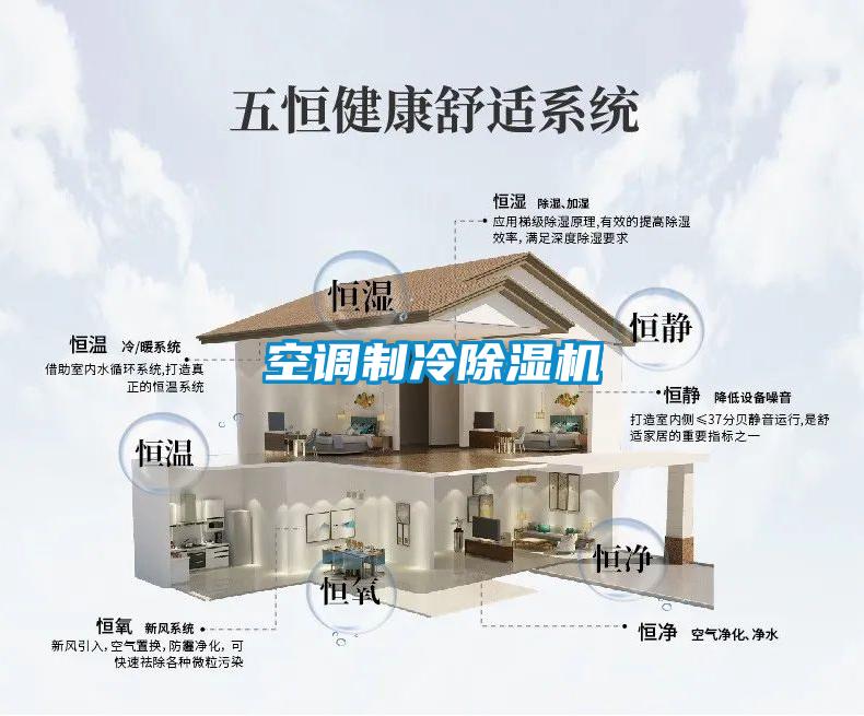 空调制冷除湿机