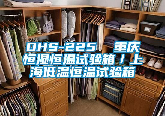 DHS-225  重庆恒湿恒温试验箱／上海低温恒温试验箱
