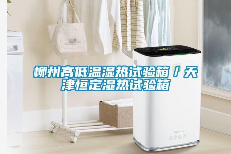 柳州高低温湿热试验箱／天津恒定湿热试验箱