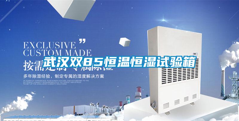 武汉双85恒温恒湿试验箱