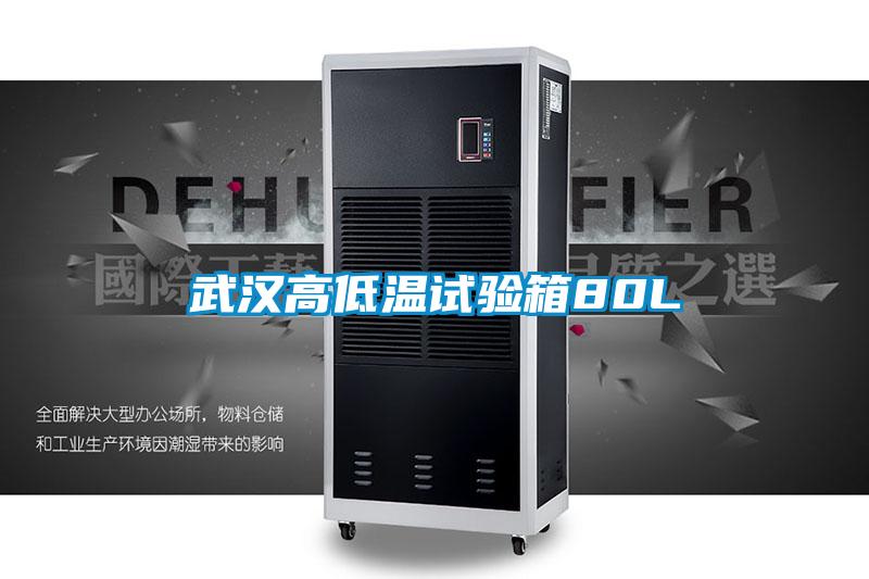 武汉高低温试验箱80L