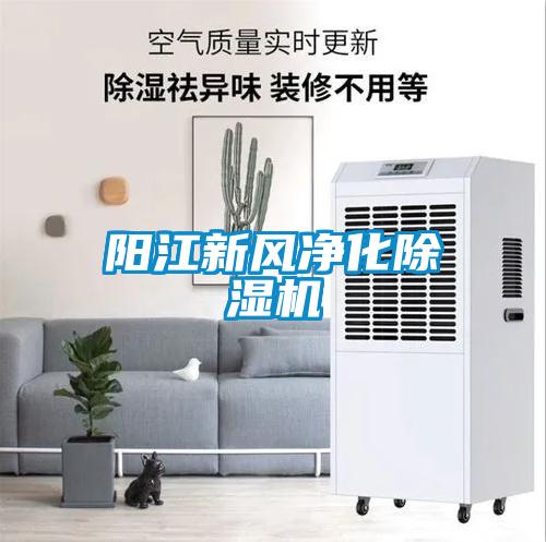 阳江新风净化除湿机