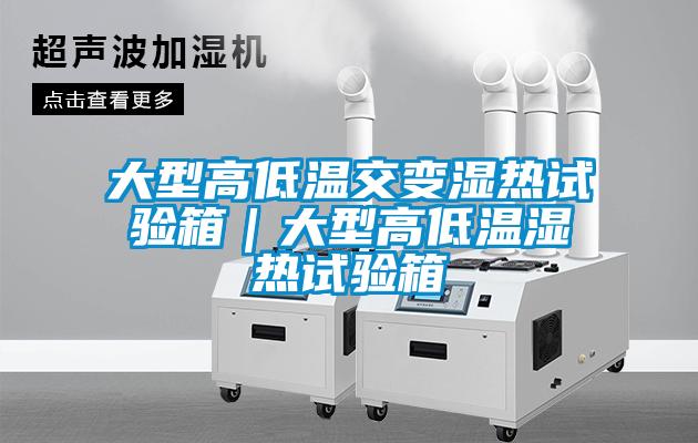 大型高低温交变湿热试验箱｜大型高低温湿热试验箱