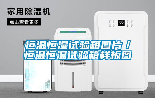 恒温恒湿试验箱图片／恒温恒湿试验箱样板图