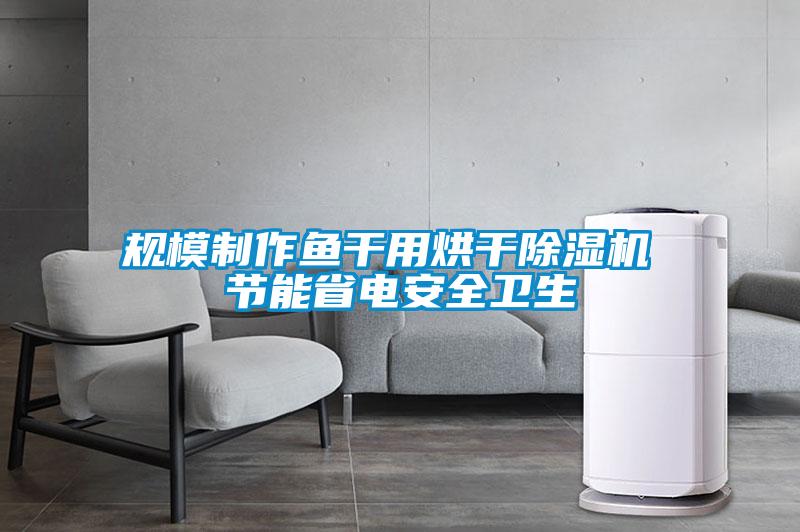 规模制作鱼干用烘干除湿机 节能省电安全卫生