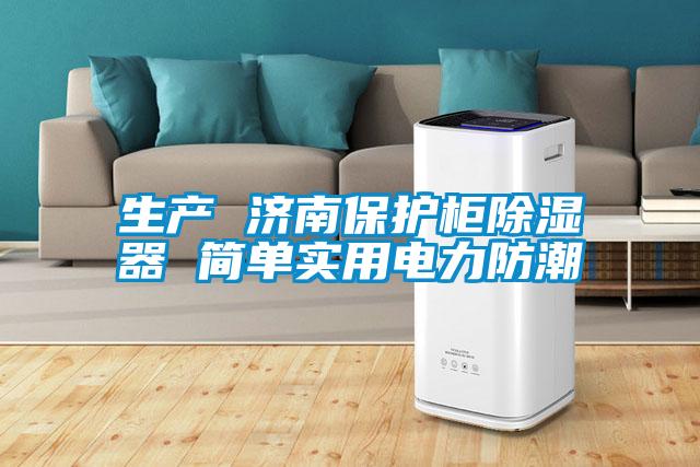 生产 济南保护柜除湿器 简单实用电力防潮