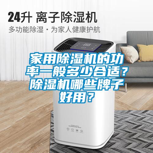 家用除湿机的功率一般多少合适？除湿机哪些牌子好用？