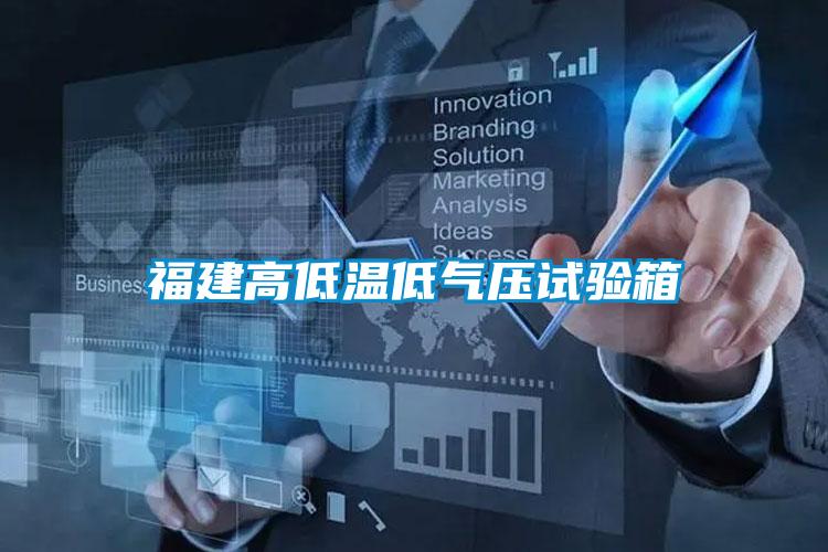 福建高低温低气压试验箱