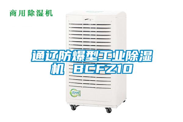 通辽防爆型工业除湿机 BCFZ10
