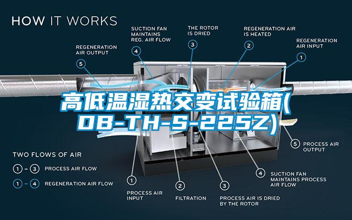 高低温湿热交变试验箱(DB-TH-S-225Z)