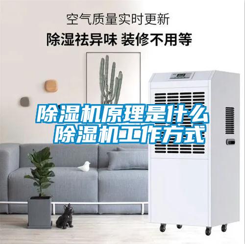 除湿机原理是什么 除湿机工作方式