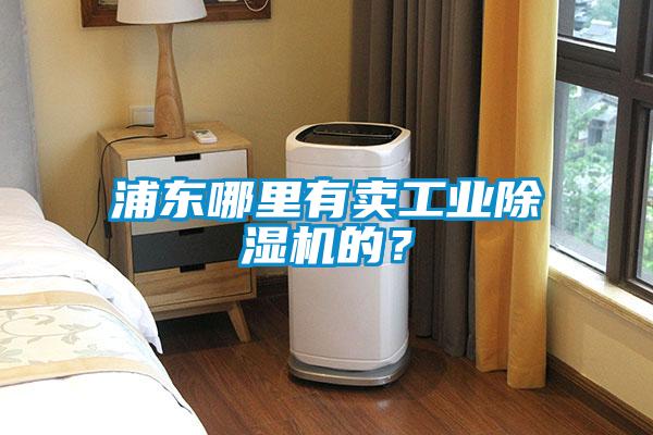 浦东哪里有卖工业除湿机的？