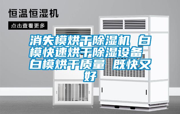 消失模烘干除湿机 白模快速烘干除湿设备 白模烘干质量 既快又好
