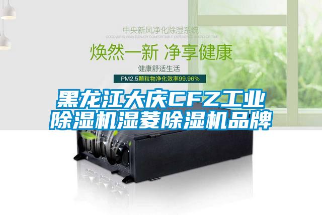 黑龙江大庆CFZ工业除湿机湿菱除湿机品牌