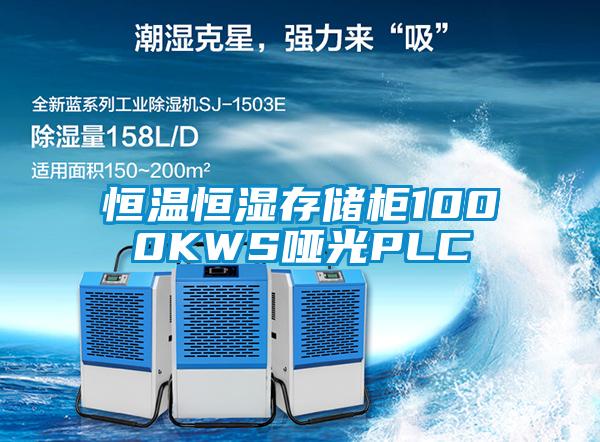 恒温恒湿存储柜1000KWS哑光PLC