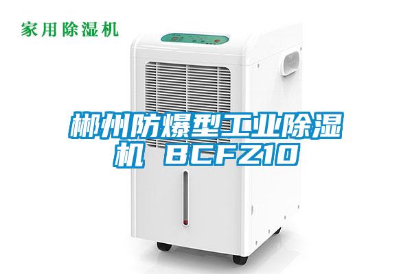 郴州防爆型工业除湿机 BCFZ10