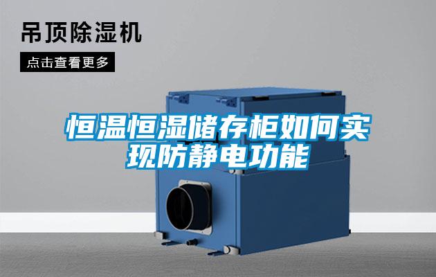 恒温恒湿储存柜如何实现防静电功能