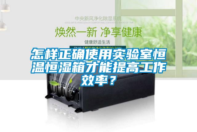 怎样正确使用实验室恒温恒湿箱才能提高工作效率？