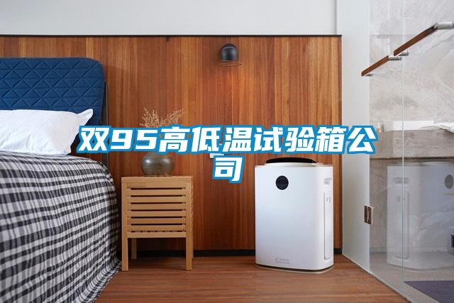 双95高低温试验箱公司