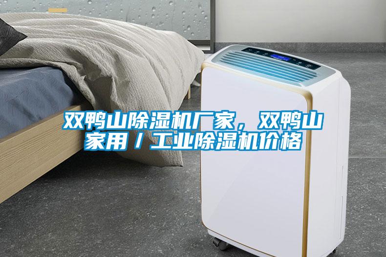 双鸭山除湿机厂家，双鸭山家用／工业除湿机价格