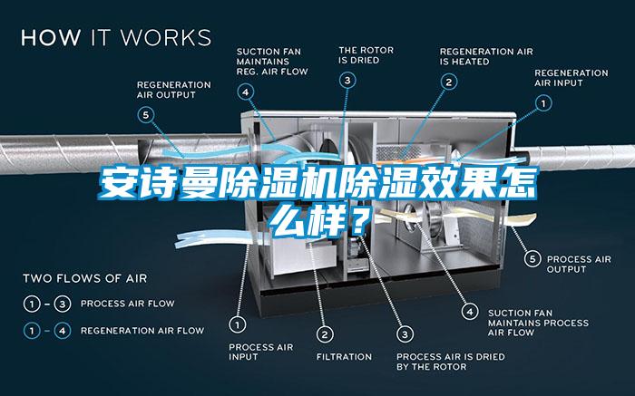 安诗曼除湿机除湿效果怎么样？