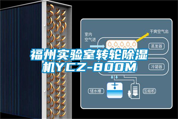福州实验室转轮除湿机YCZ-800M