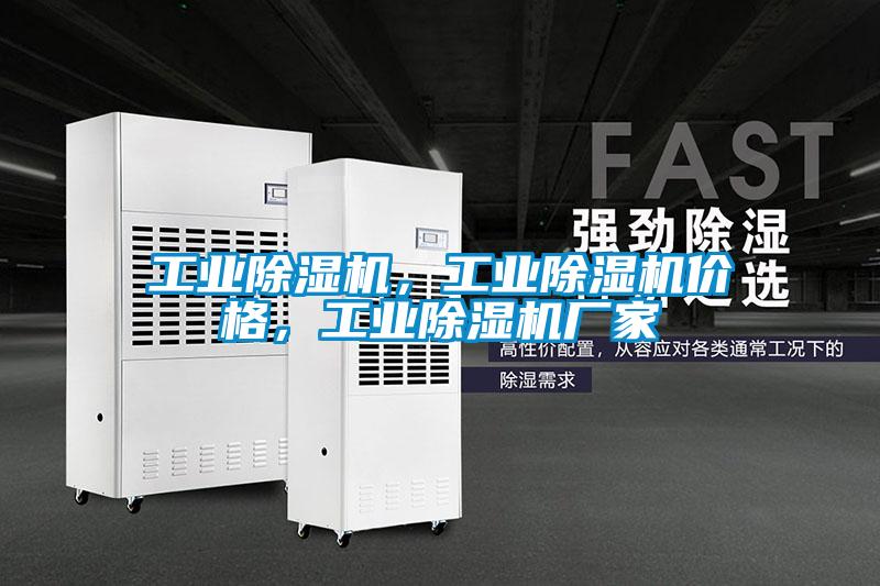 工业除湿机，工业除湿机价格，工业除湿机厂家