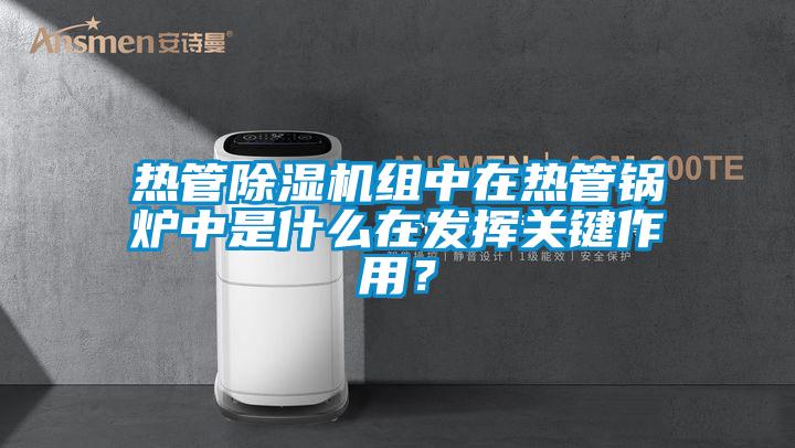 热管除湿机组中在热管锅炉中是什么在发挥关键作用？