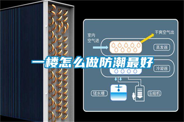 一楼怎么做防潮最好