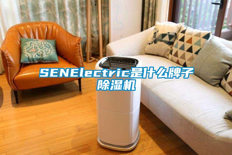 SENElectric是什么牌子除湿机