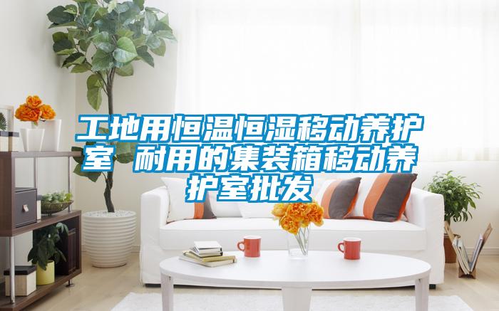 工地用恒温恒湿移动养护室 耐用的集装箱移动养护室批发