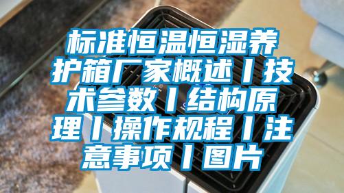 标准恒温恒湿养护箱厂家概述丨技术参数丨结构原理丨操作规程丨注意事项丨图片