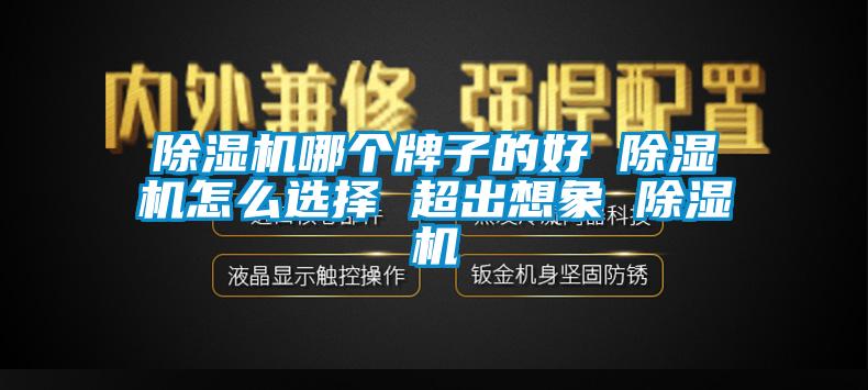 除湿机哪个牌子的好 除湿机怎么选择 超出想象 除湿机