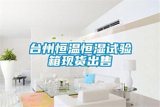 台州恒温恒湿试验箱现货出售