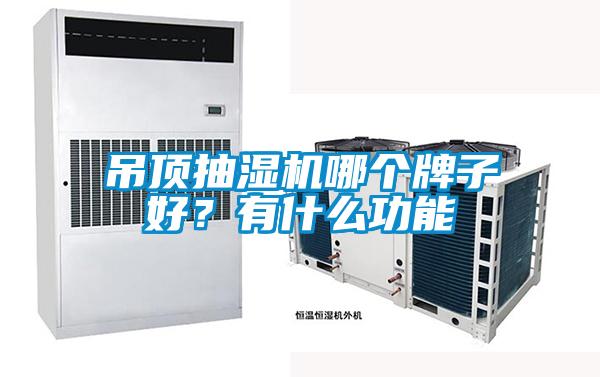 吊顶抽湿机哪个牌子好?有什么功能