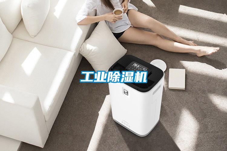 工业除湿机