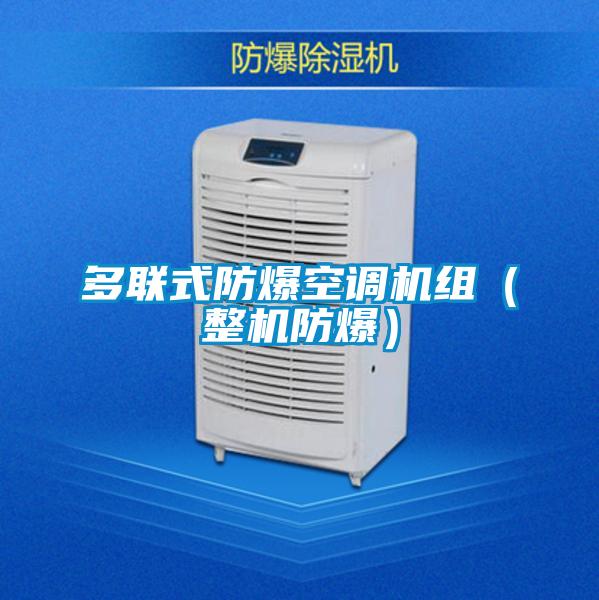 多联式防爆空调机组(整机防爆)