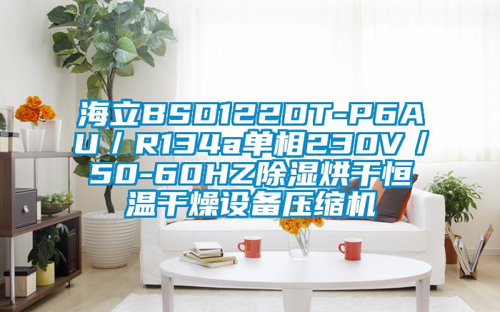 海立BSD122DT-P6AU／R134a单相230V／50-60HZ除湿烘干恒温干燥设备压缩机