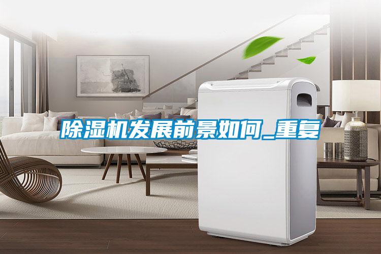 除湿机发展前景如何_重复
