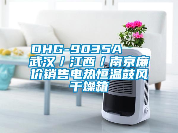 DHG-9035A   武汉／江西／南京廉价销售电热恒温鼓风干燥箱