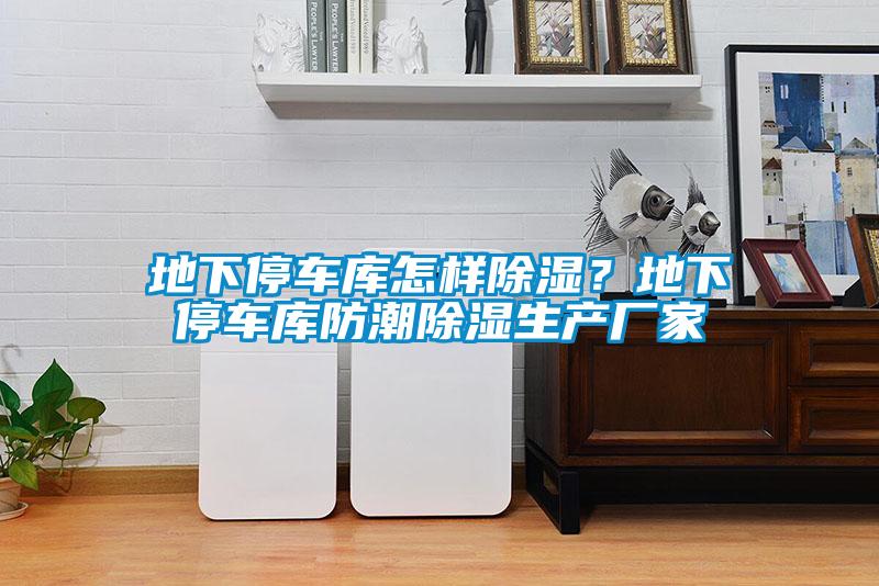 地下停车库怎样除湿？地下停车库防潮除湿生产厂家