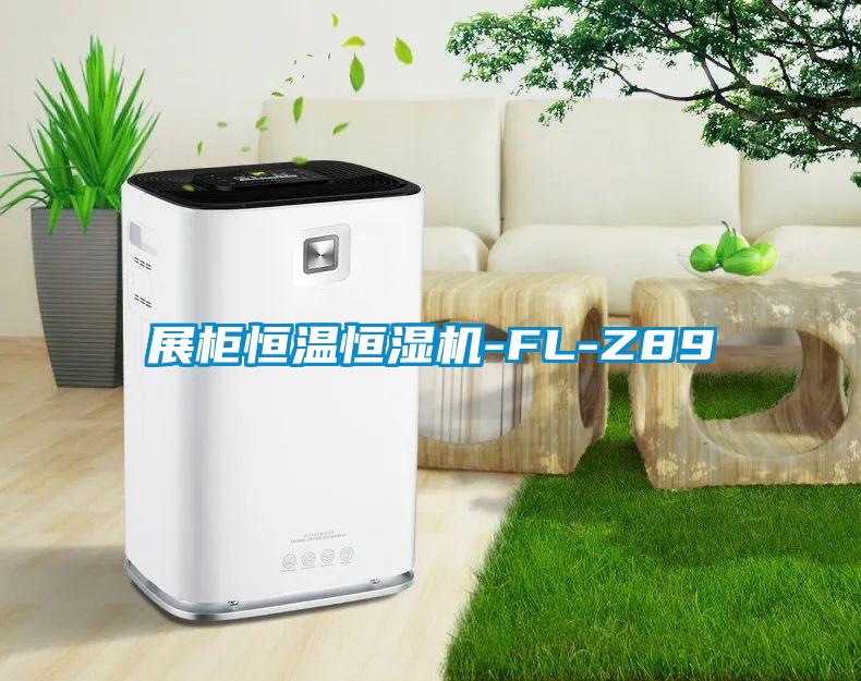 展柜恒温恒湿机-FL-Z89