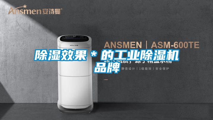 除湿效果＊的工业除湿机品牌
