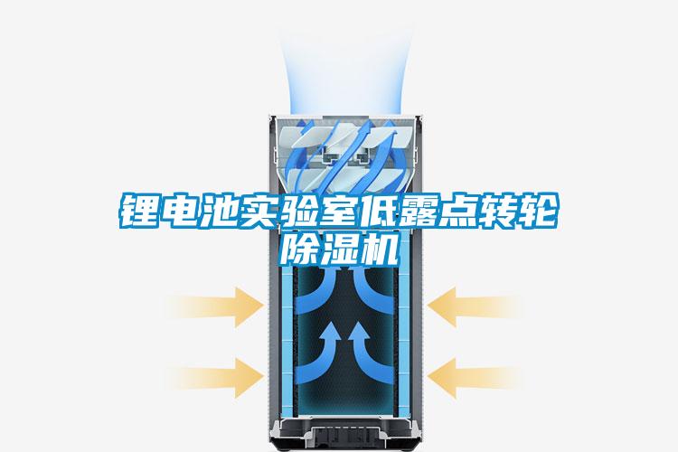锂电池实验室低露点转轮除湿机