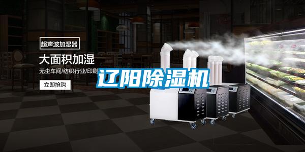 辽阳除湿机