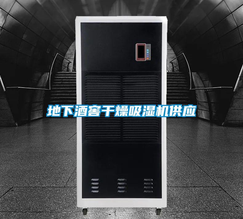 地下酒窖干燥吸湿机供应