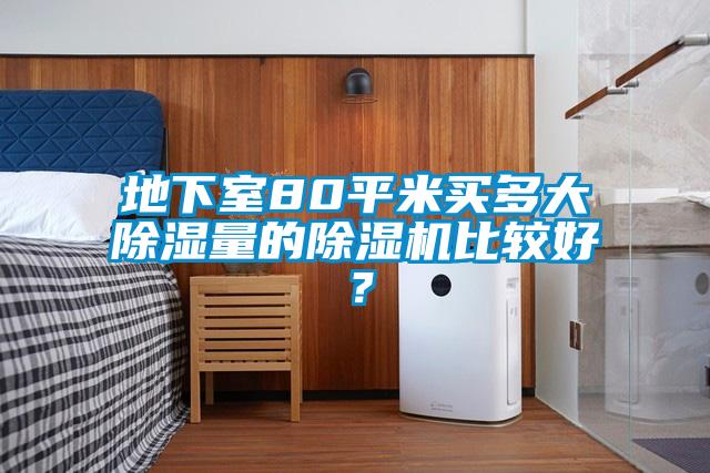 地下室80平米买多大除湿量的除湿机比较好？